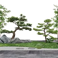 New Chinese Style Pine Tree Modeling Pine Black Pine Pohan Pine Bamboo Dry Landscape Tree Ornamental Tree Courtyard Trees Trees Shrubs Plants Snowwave Stone 3d model