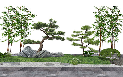 New Chinese Style Pine Tree Modeling Pine Black Pine Pohan Pine Bamboo Dry Landscape Tree Ornamental Tree Courtyard Trees Trees Shrubs Plants Snowwave Stone 3d model