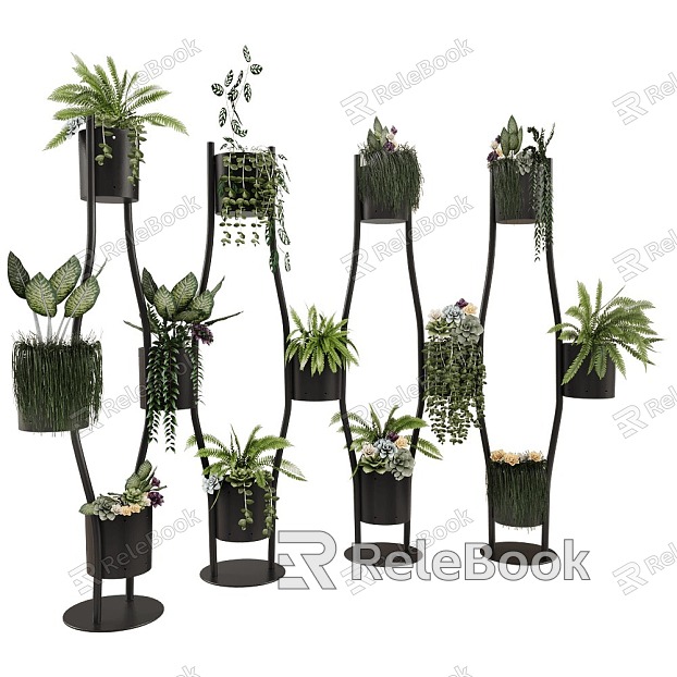 potted Brunner plant model