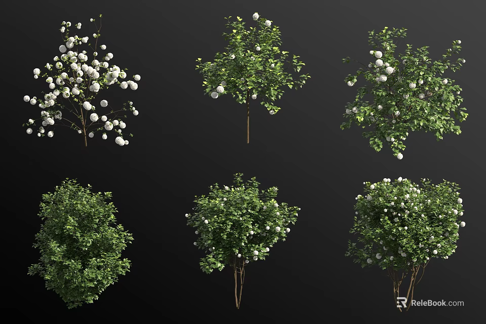 Various Blooming Garden Shrubs With White Flowers And Green Foliage 3d model 