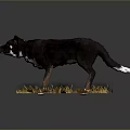 Realistic Dog Sculpture Standing On Ground With Dry Leaves Small Stones And Dark Background