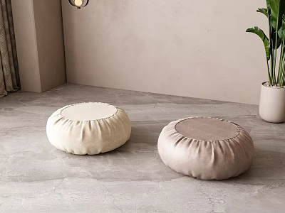 Round Floor Cushions In Beige And Light Brown With Green Plant And White Planter 3d model