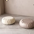 Round Floor Cushions In Beige And Light Brown With Green Plant And White Planter