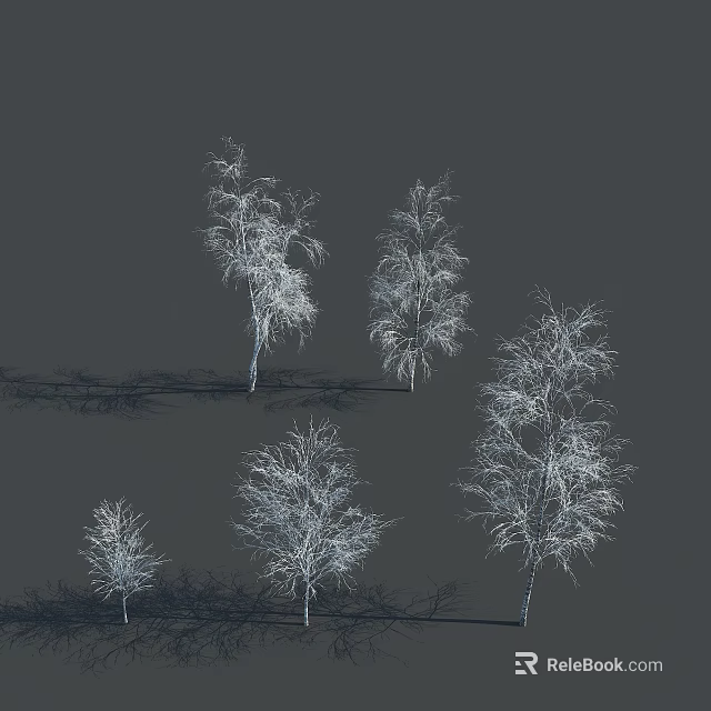 Leafless Trees With White Trunks And Slender Branches On Gray Background 3d model