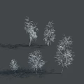 Leafless Trees With White Trunks And Slender Branches On Gray Background 3d model