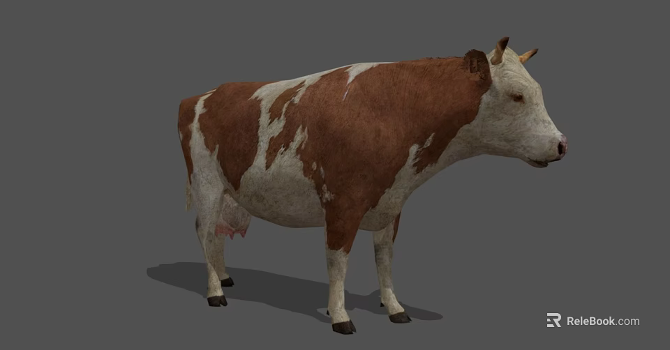 Brown and White Cow 3D Model with Realistic Fur and Standing Pose 3d model 