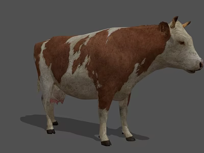Brown and White Cow 3D Model with Realistic Fur and Standing Pose 3d model