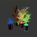Healthy Green Indoor Plants in Black Pots on Gray Background