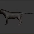 3D Rendered Leopard Model With Dark Spotted Fur Standing On Gray Background With Orange Eyes
