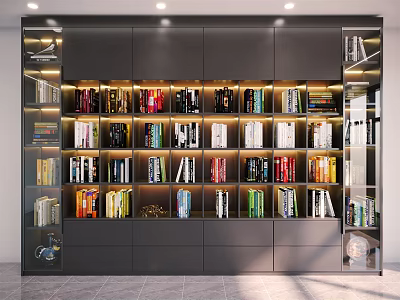 Modern Bookcase Interior Design With Neatly Arranged Books And Built In Lighting 3d model