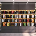 Modern Bookcase Interior Design With Neatly Arranged Books And Built In Lighting