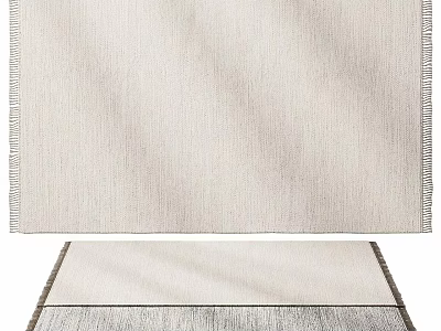 Modern Neutral Toned Textured Rug With Fringe Edges And Soft Layered Look 3d model