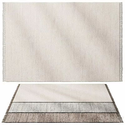 Modern Neutral Toned Textured Rug With Fringe Edges And Soft Layered Look 3d model