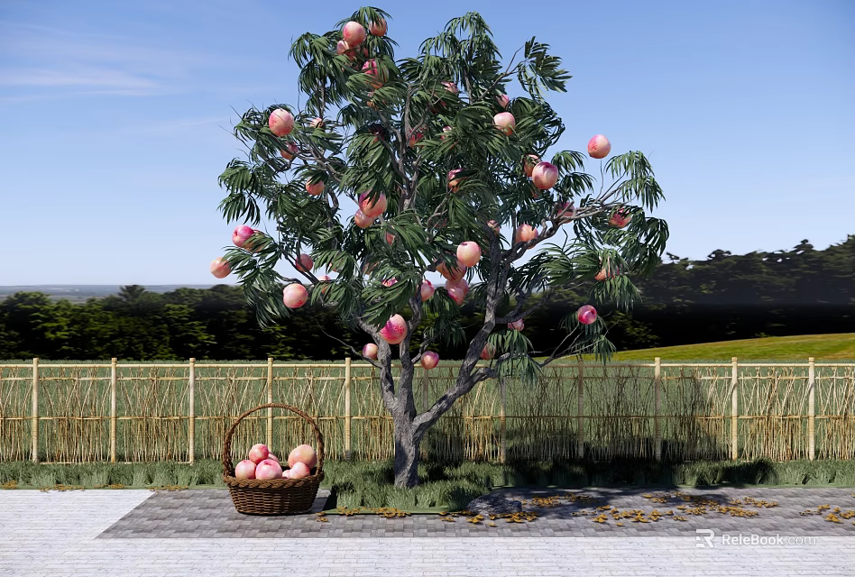 Garden Landscape With Fruit Tree Bearing Pink Fruits And Basket Near Bamboo Fence 3d model 