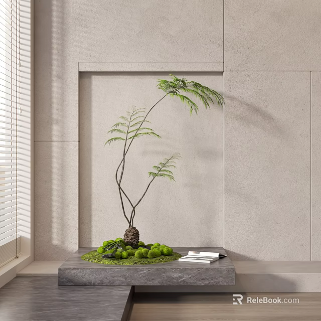 Indoor Bonsai Plant with Curved Stems Green Moss and Books on Gray Table 3d model 