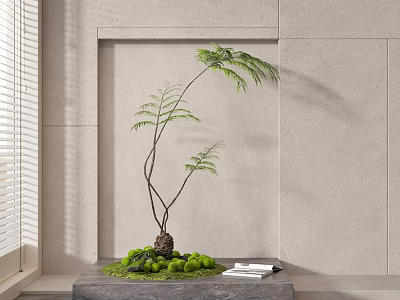 Indoor Bonsai Plant with Curved Stems Green Moss and Books on Gray Table 3d model