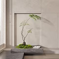 Indoor Bonsai Plant with Curved Stems Green Moss and Books on Gray Table