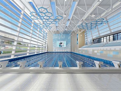 modern swimming pool indoor competitive swimming pool 3d model