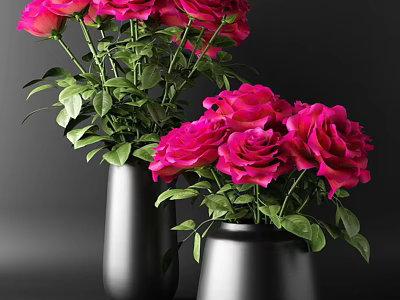 Two Black Vases With Fresh Pink Roses And Lush Green Leaves 3d model