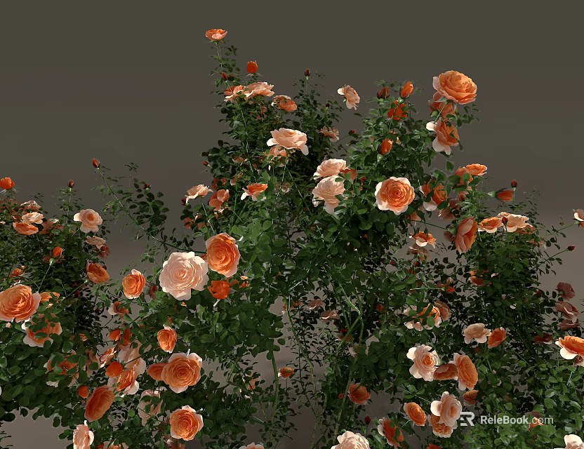 Lush Orange And Pink Roses With Green Leaves In Blooming Garden 3d model 