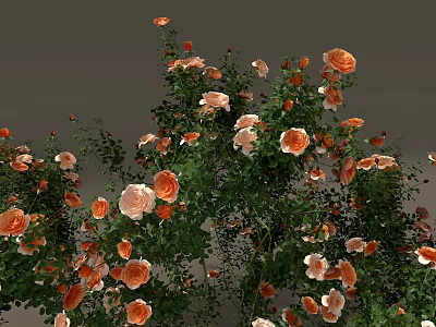 Lush Orange And Pink Roses With Green Leaves In Blooming Garden 3d model