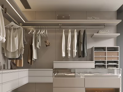 Modern Walk In Closet Design With Hanging Clothes And Drawers 3d model