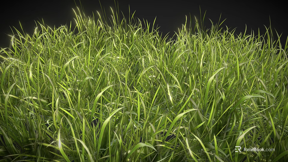 Lush Sunlit Green Grass With Tall Blades And Natural Healthy Growth 3d model 