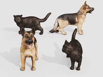 Realistic Reptile Models Collection With Various Species On White Background 3d model