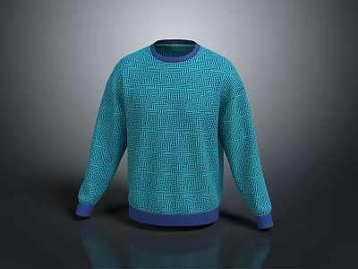 Teal Sweater With Geometric Maze Pattern And Purple Trim For Fashionable Look 3d model