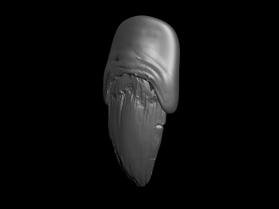 Gray Textured 3D Model Of Natural Object With Detailed Surface Structure 3d model