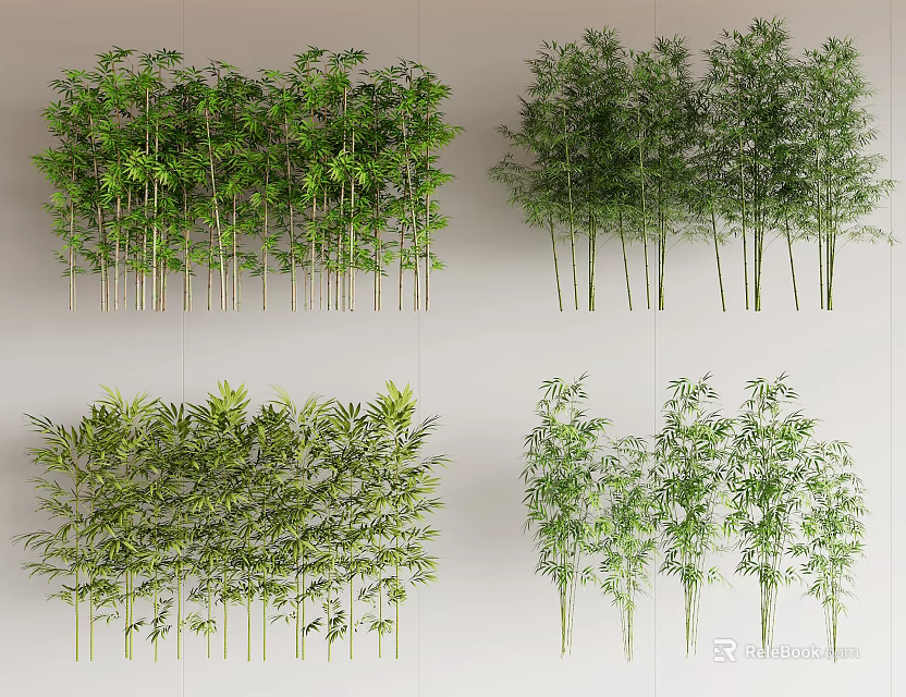 Various Bamboo Species with Different Growth Forms and Lush Green Foliage 3d model 