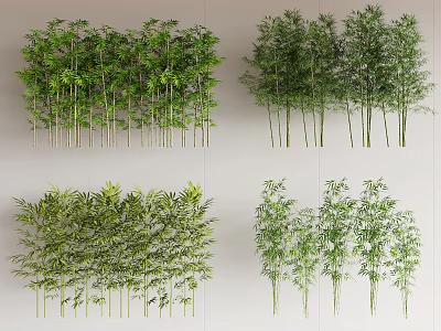 Various Bamboo Species with Different Growth Forms and Lush Green Foliage 3d model