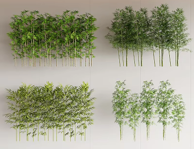 Various Bamboo Species with Different Growth Forms and Lush Green Foliage 3d model