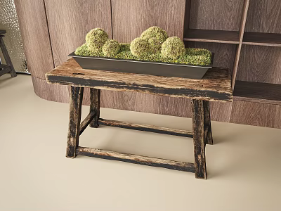 Green Moss Ball Bonsai In Black Tray On Rustic Wooden Table With Wooden Cabinet Background 3d model