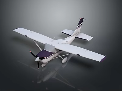 White Small Passenger Plane With Purple Tail Single Propeller And Reflective Surface Design 3d model