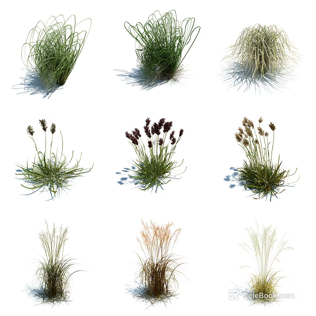 Diverse Herbaceous Flowers And Grasses With Clumping Growth And Spiked Blooms In Green Purple Tones 3d model 