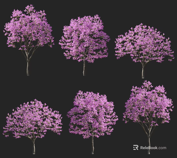 Purple Flowering Arbor Trees In Various Blooming Forms On Black Background 3d model 