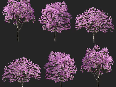 Purple Flowering Arbor Trees In Various Blooming Forms On Black Background 3d model