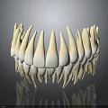 3D Rendered Sharp Teeth Organ Model With Curved Arrangement And Reflective Surface