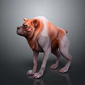 3D Character Bulldog Dog With Orange And White Fur In Standing Pose