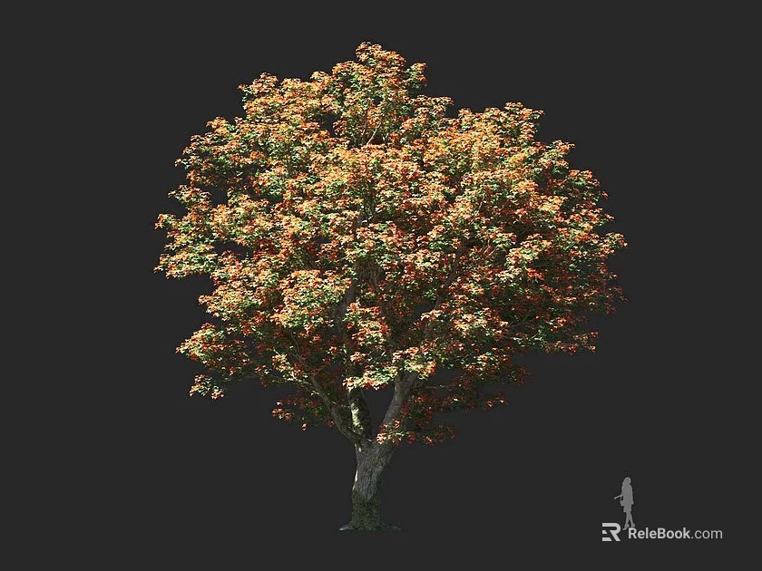 Lush Tree With Orange And Green Leaves And Large Canopy With Human Figure Size Reference 3d model 