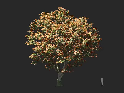 Lush Tree With Orange And Green Leaves And Large Canopy With Human Figure Size Reference 3d model