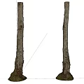 Two Tree Trunks With Rough Bark And Root Base On White Background 3d model