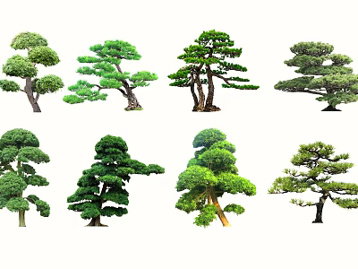 Collection Of Different Arbor Varieties With Unique Shapes And Lush Green Foliage 3d model