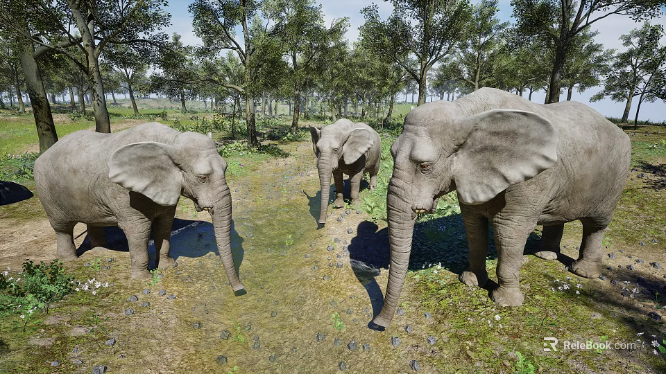 Reptiles Exploring Grassland Area With Trees And Shallow Water Puddles 3d model 