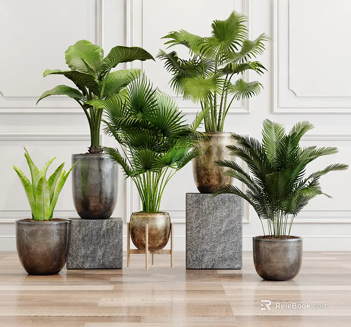 Various Green Potted Plants In Decorative Pots Arranged On Stands And Wooden Floor Background 3d model 