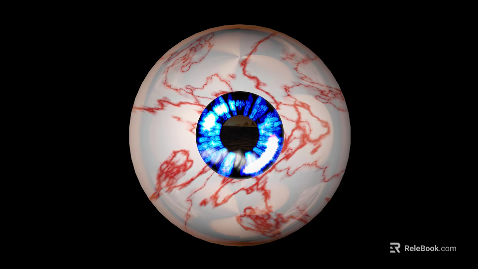 Detailed Human Eye with Blue Iris White Sclera and Red Blood Vessels 3d model 