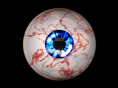 Detailed Human Eye with Blue Iris White Sclera and Red Blood Vessels 3d model