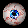 Detailed Human Eye with Blue Iris White Sclera and Red Blood Vessels