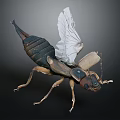 Detailed 3D Insect Model With Transparent Wings And Segmented Exoskeleton Structure